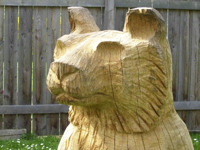 Bär